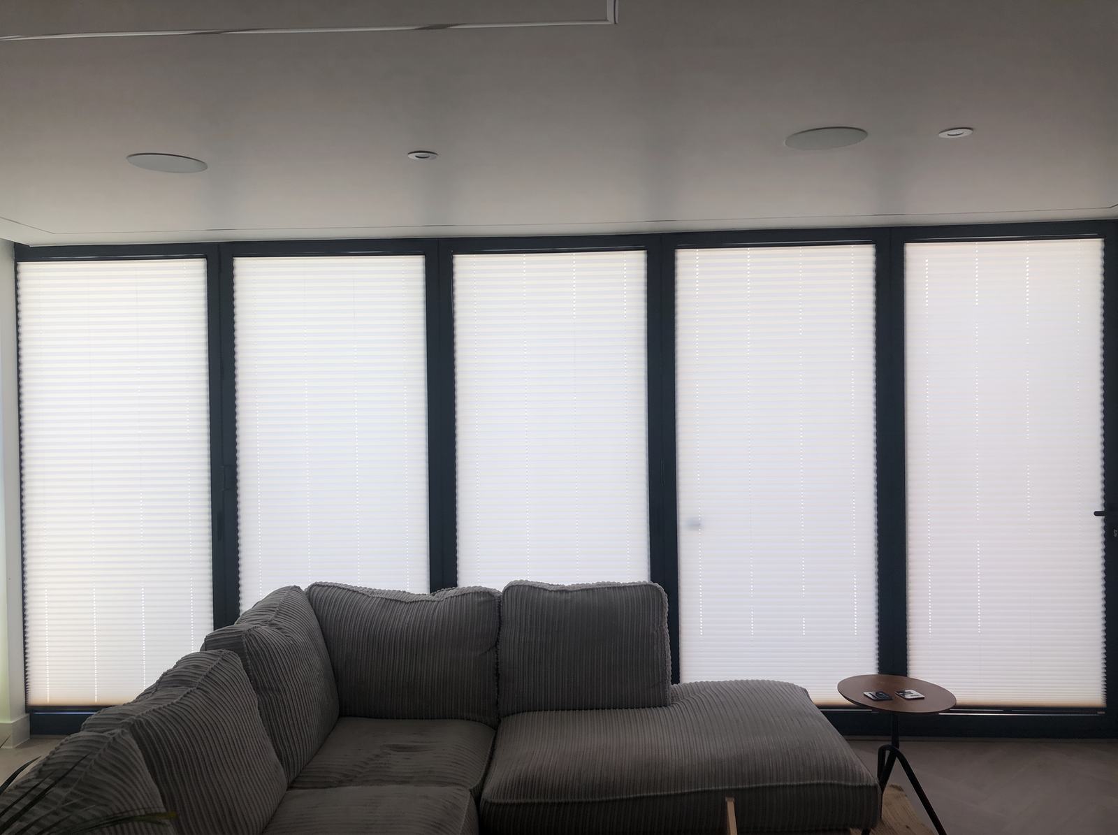 Pleated & INTU Blinds
